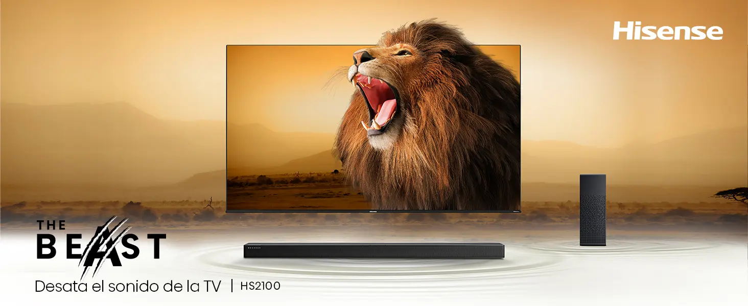 Hisense HS2100 Barra de Sonido 2.1
